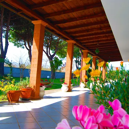 Il Giardino Dei Pini *