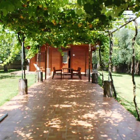 Il Giardino Dei Pini Capaccio