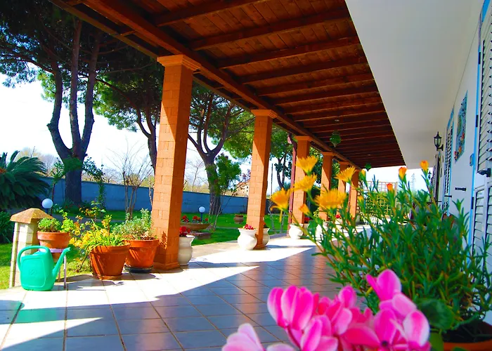 Il Giardino Dei Pini *